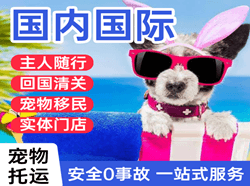 嘎洒机场物流国际宠物托运 【国